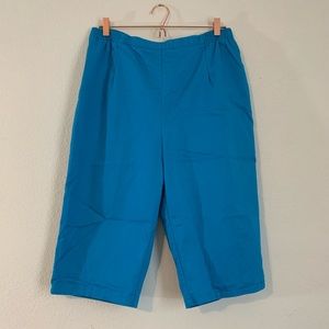 Koret Blue Casual Capri Pants Size 18